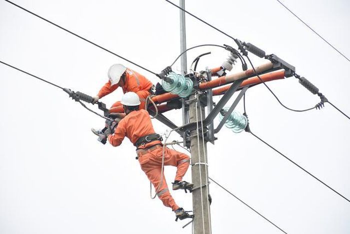 8ab77f37da7e33206a6f